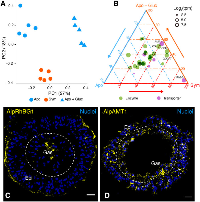 Fig. 3.