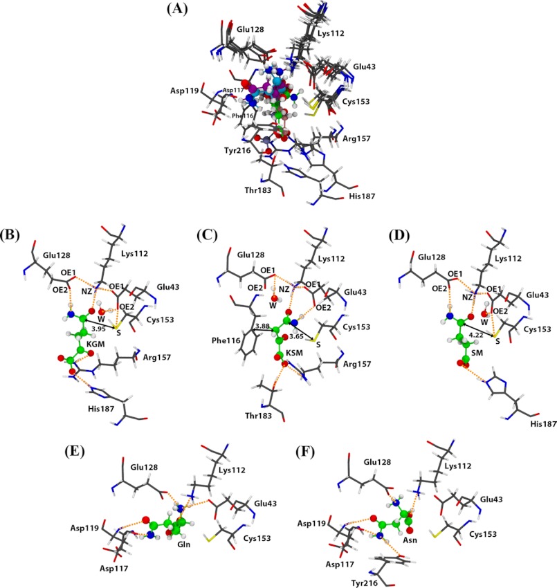 FIGURE 7.