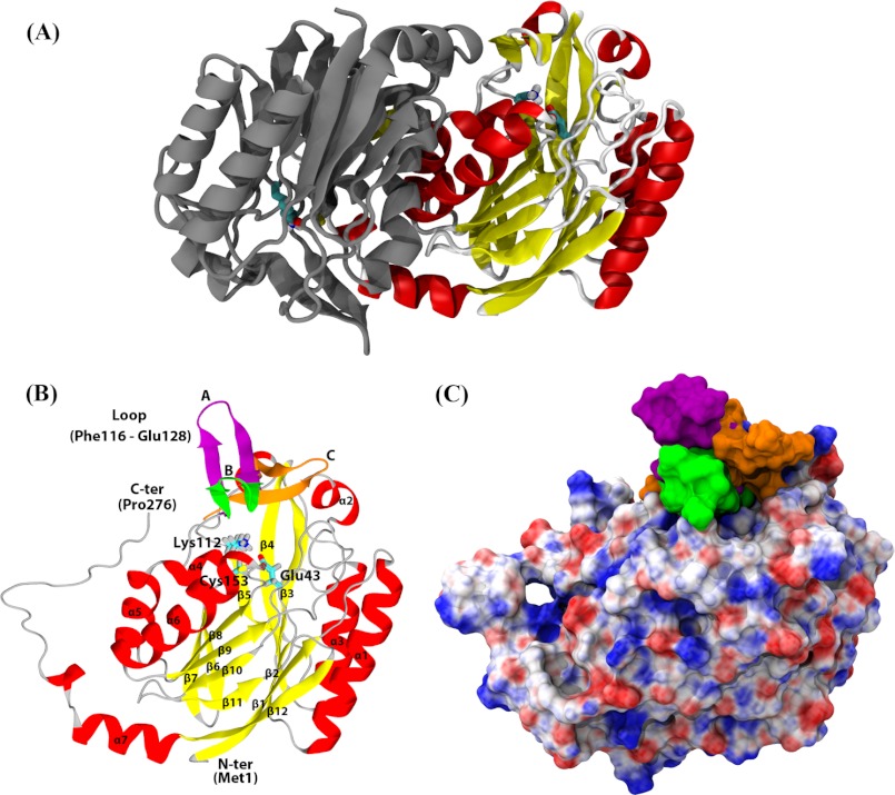 FIGURE 3.