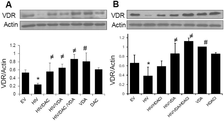 Fig.6