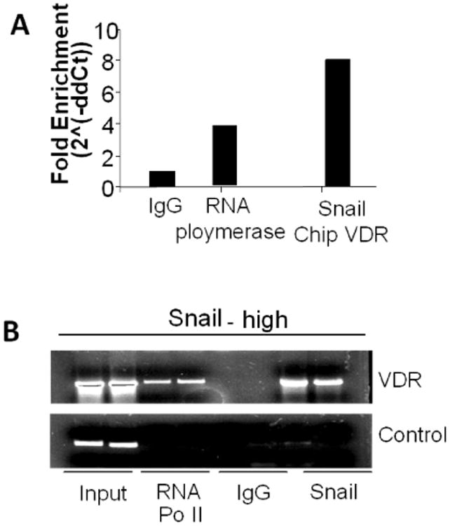 Fig. 9