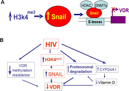 graphic file with name nihms711082u1.jpg