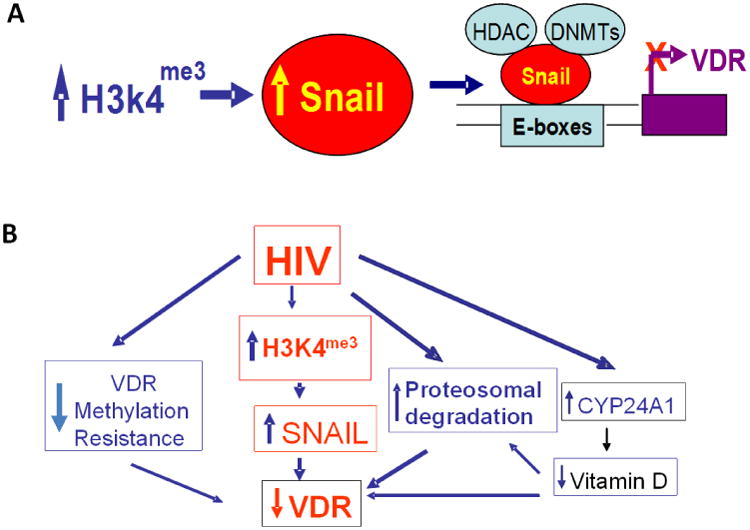 Fig. 10