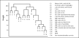 Fig 2.