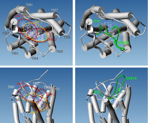 FIGURE 3.