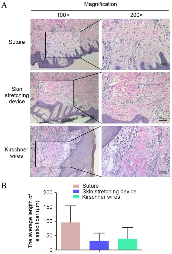 Figure 5.