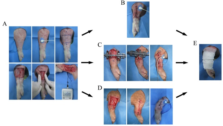 Figure 2.