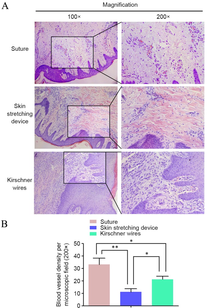 Figure 7.