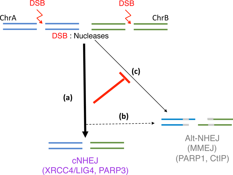 Figure 2 :