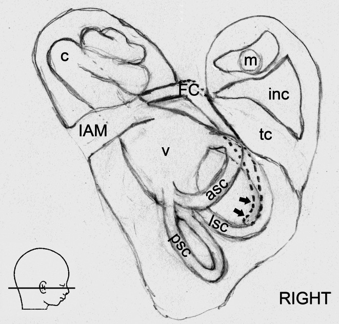 Fig. 6