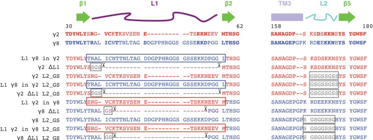 Figure 1—figure supplement 4.