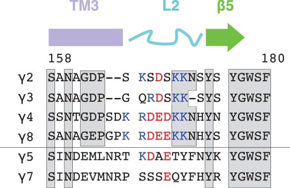 Figure 1—figure supplement 3.