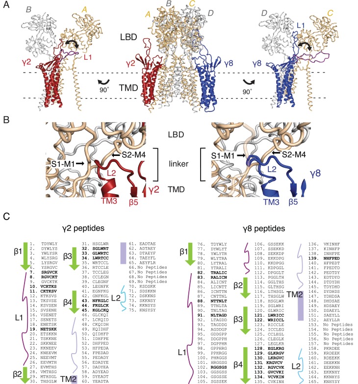 Figure 1—figure supplement 1.