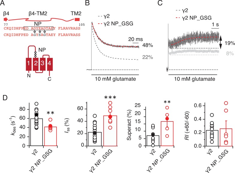 Figure 1—figure supplement 2.