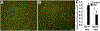 Figure 4: