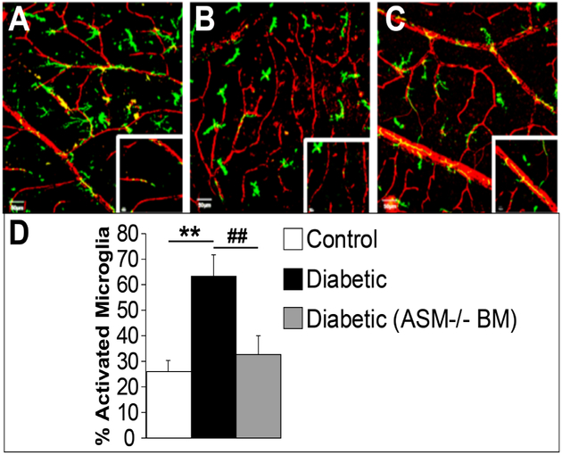 Figure 5: