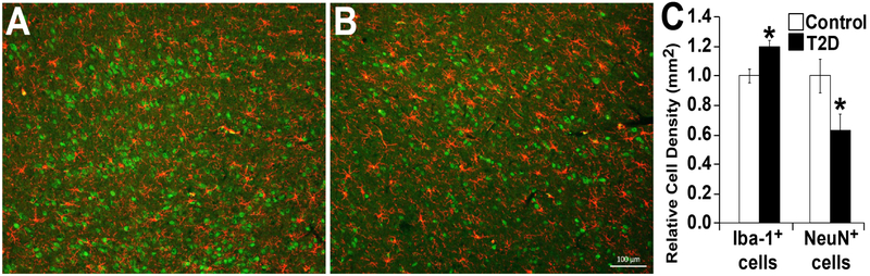 Figure 4: