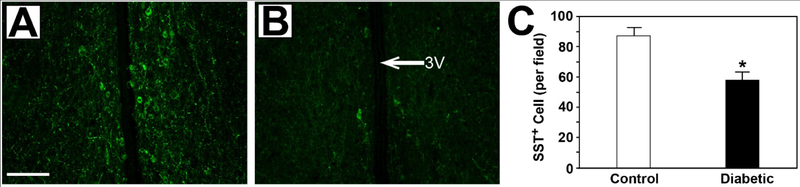 Figure 6: