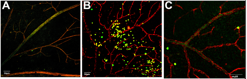 Figure 2: