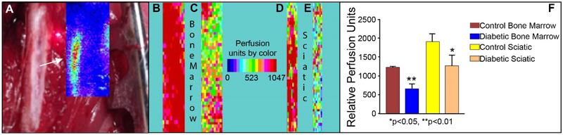 Figure 3: