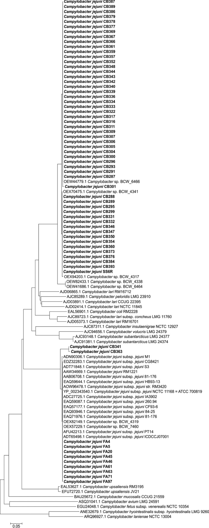 FIG 4