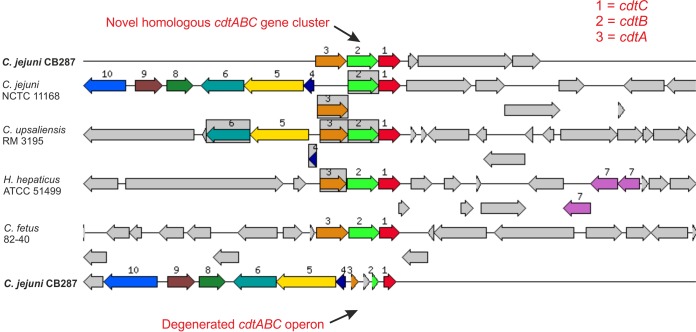 FIG 3