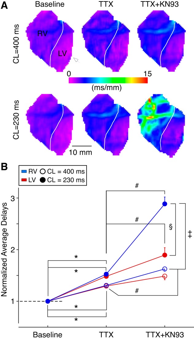 Fig. 8.