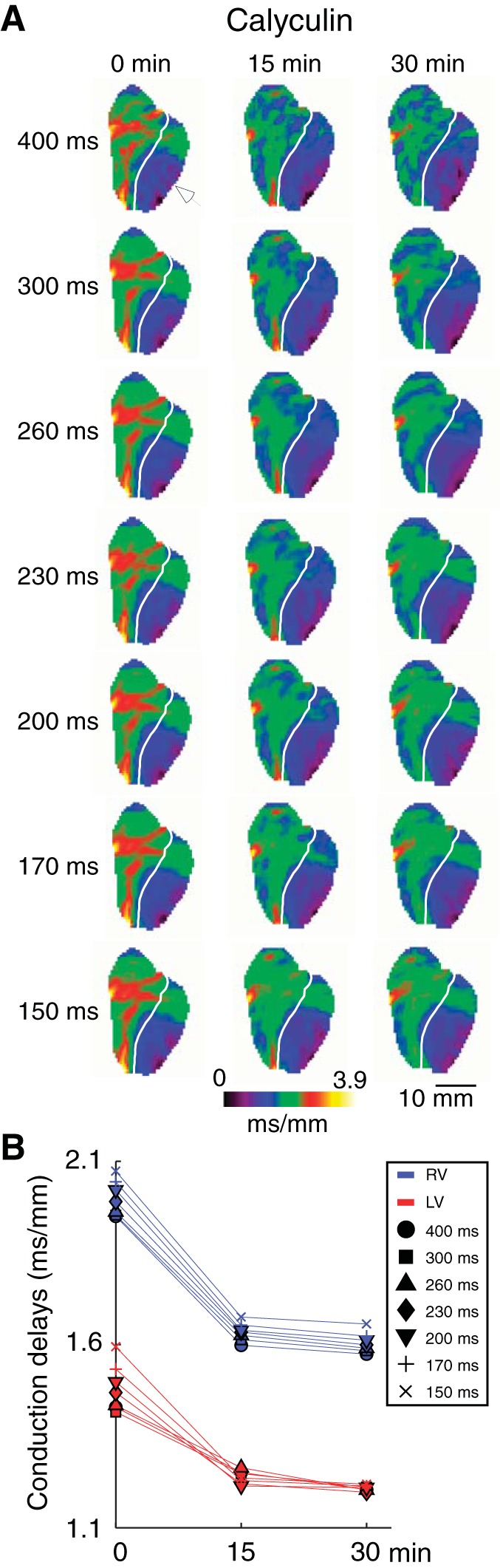 Fig. 3.