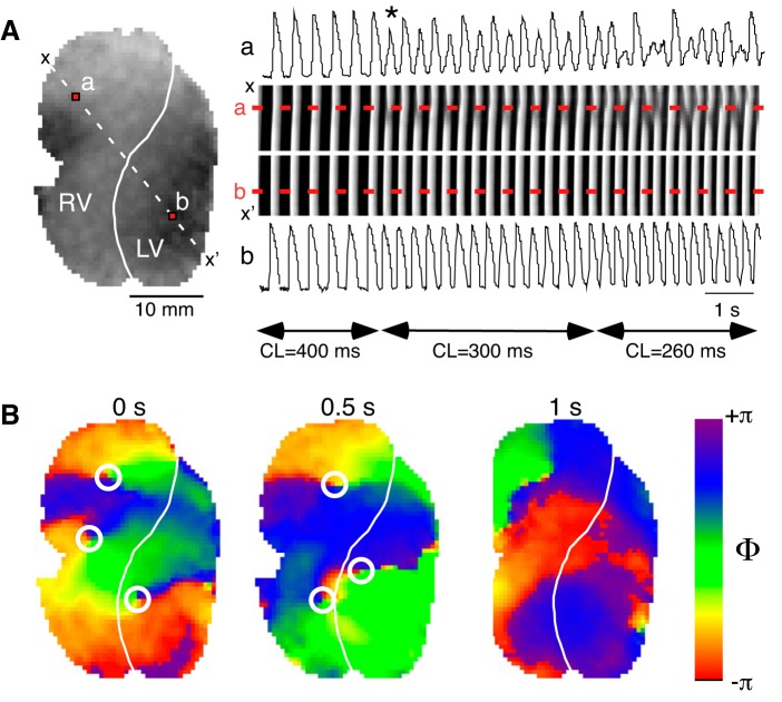 Fig. 13.