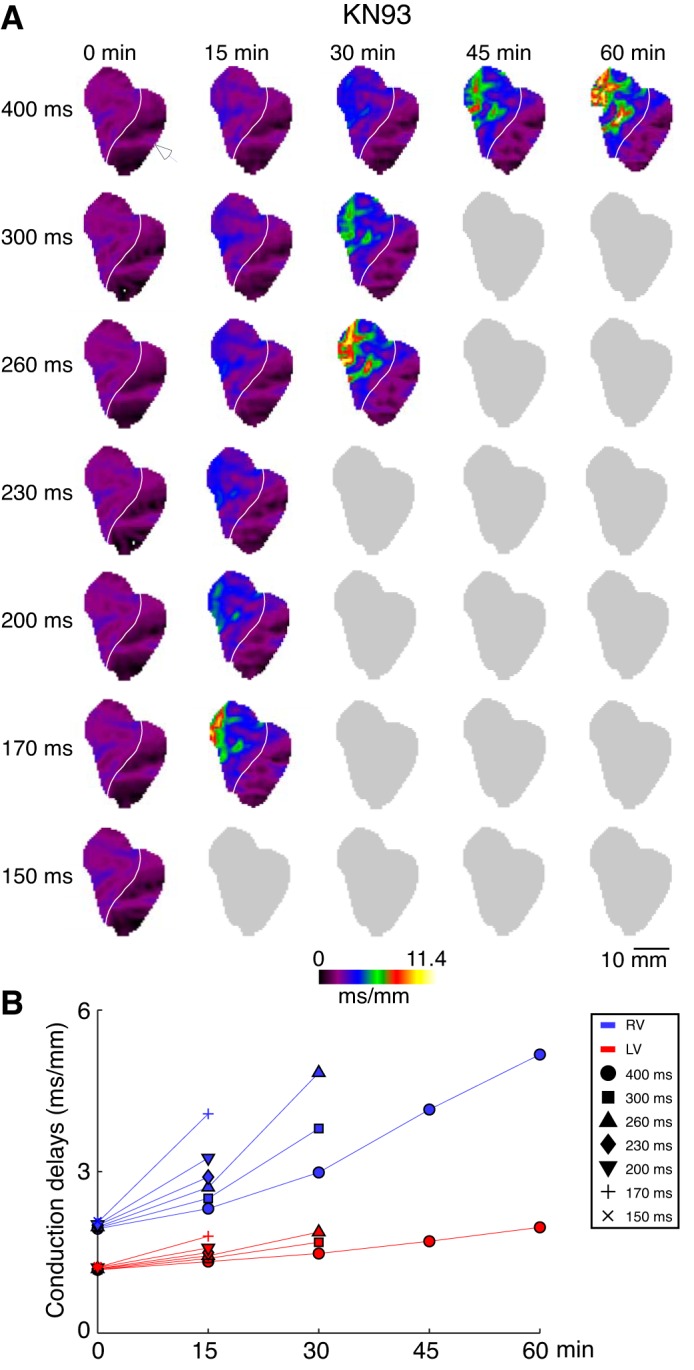 Fig. 4.