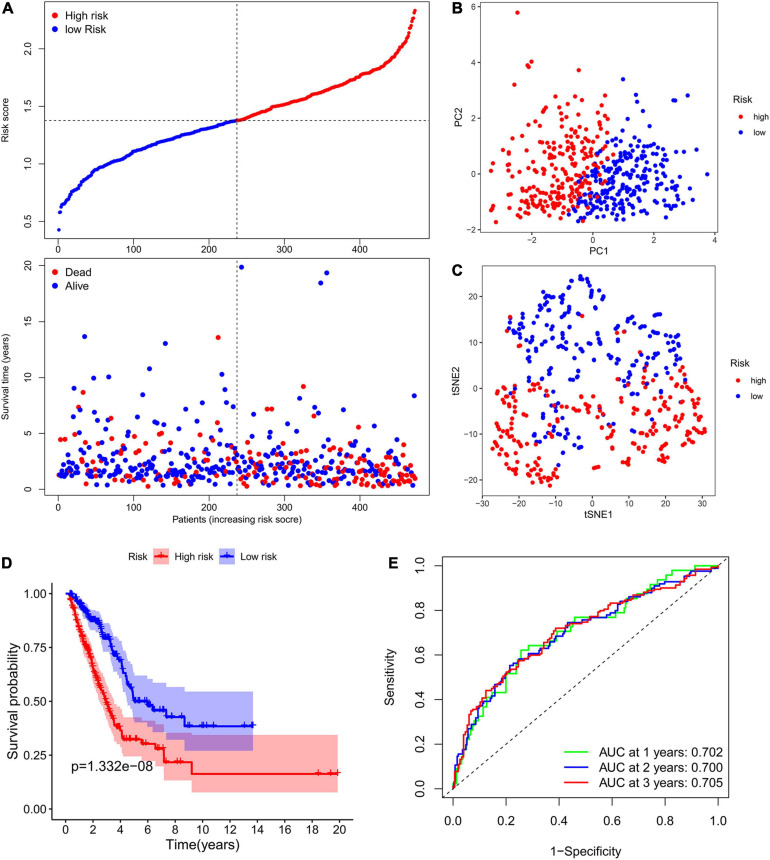 FIGURE 3