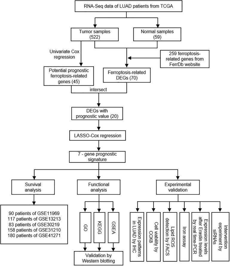 FIGURE 1