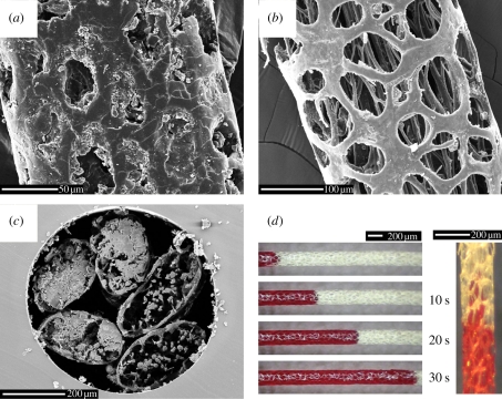 Figure 2.