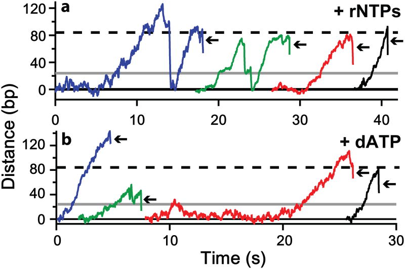 Extended Figure 4