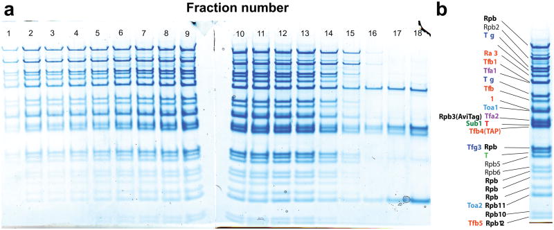 Extended Figure 1