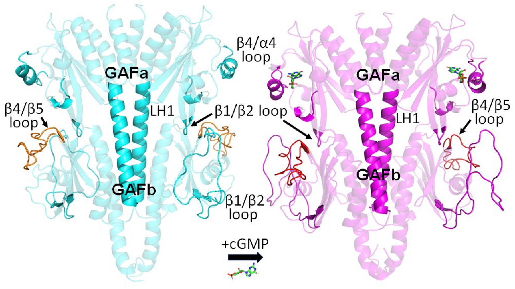 Fig. 4.