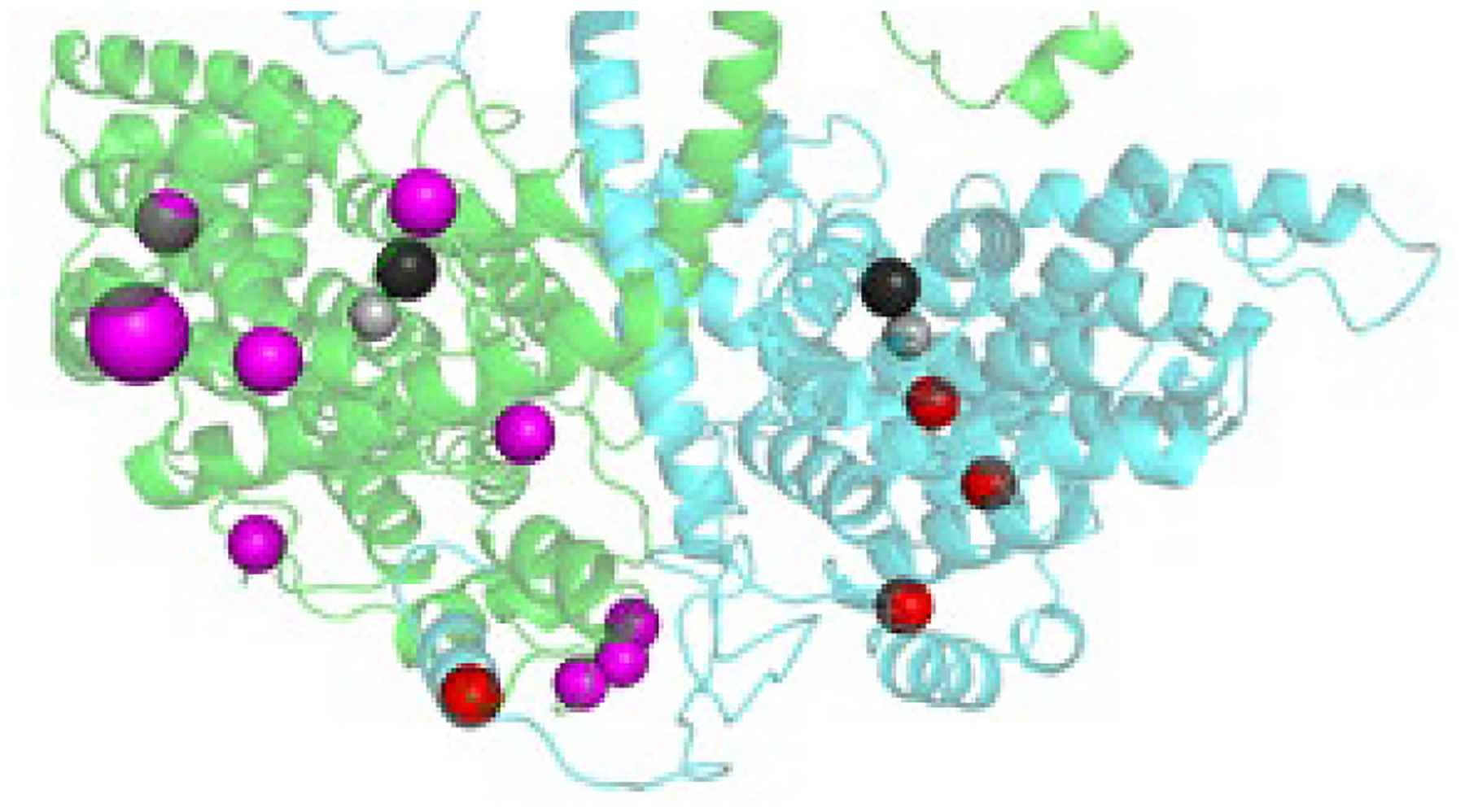 Fig. 7