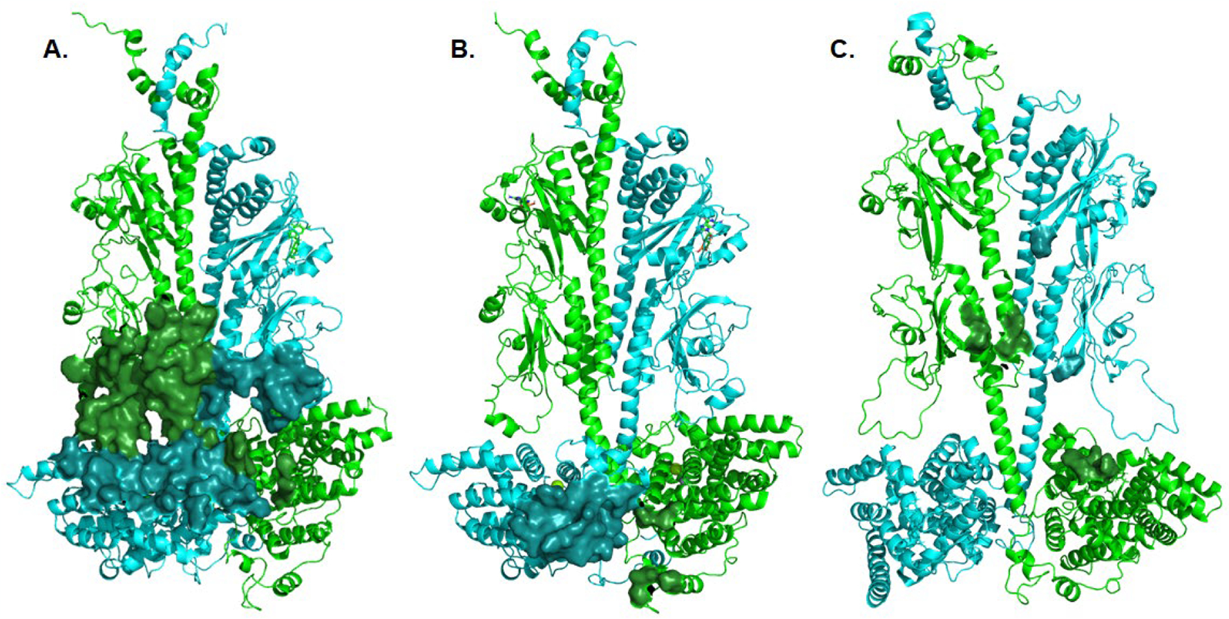 Fig. 6