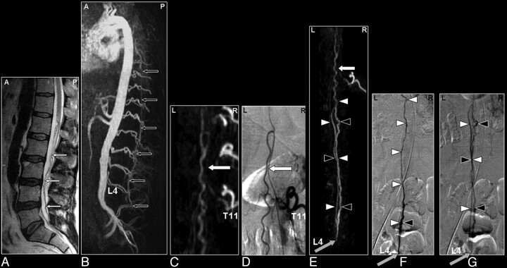 Fig 9.