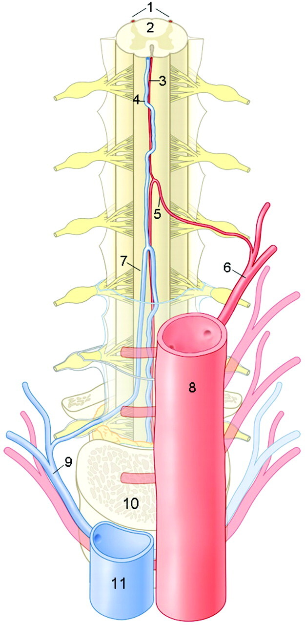 Fig 1.