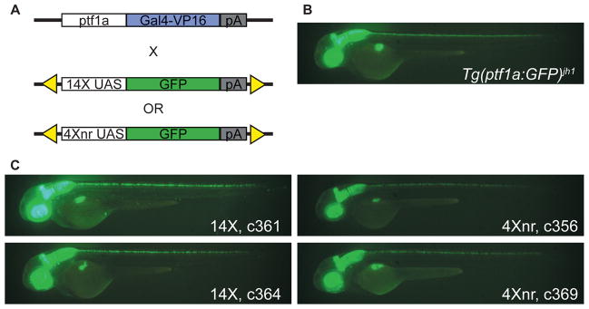 Figure 2