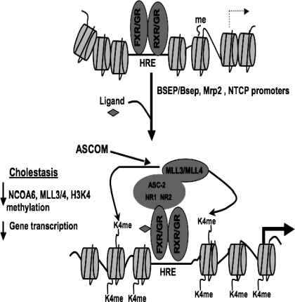 Fig. 6.