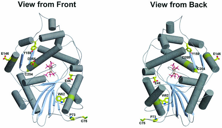 FIG. 4.