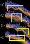 Fig. 4