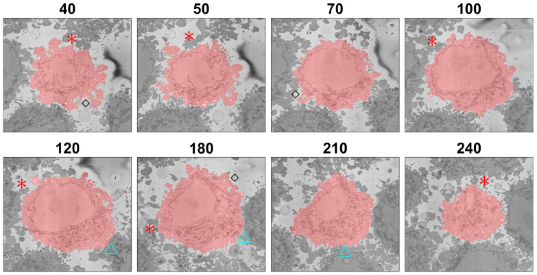 Figure 12