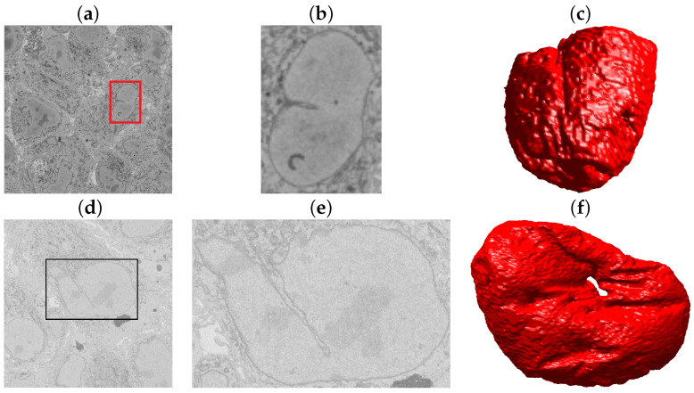 Figure 13