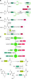 Scheme 8