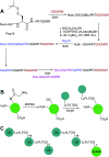 Scheme 6
