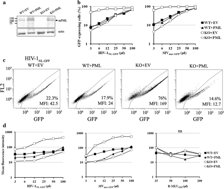 Fig. 4