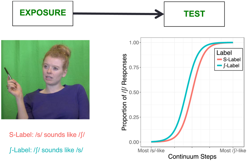 Figure 1: